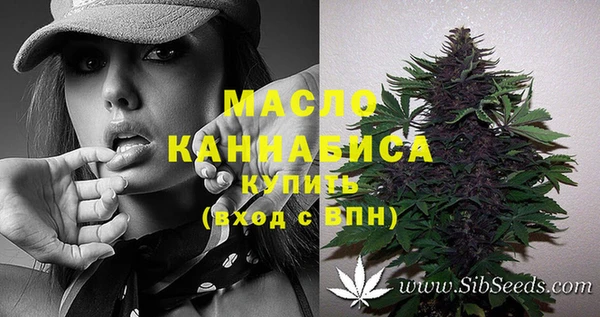 дмт Алзамай