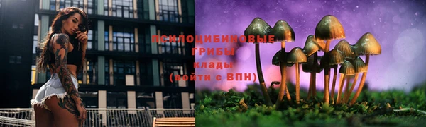 индика Алексеевка