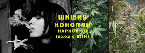 дмт Алзамай