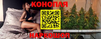 наркотики Кингисепп