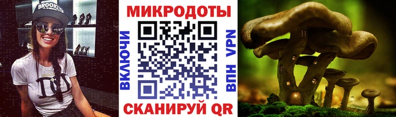 купить Краснознаменск Галлюциногенные грибы Psilocybine cubensis