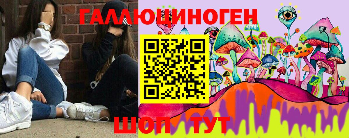 Краснознаменск  Галлюциногенные грибы Psilocybe  Вход с VPN  Псилоцибиновые грибы GOLDEN TEACHER 